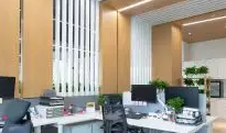 為什麽選擇色色视频入口公司進行網絡營銷和形象宣傳？