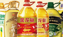 色色APP大全下载案例|益海嘉裏-金龍魚  高端品牌網站形象煥新