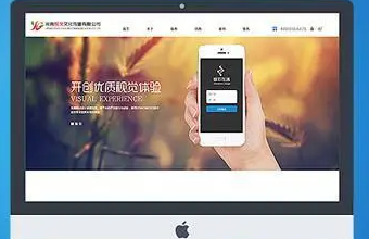選擇上海色色APP大全下载，讓你的企業官網更具品牌力和影響力