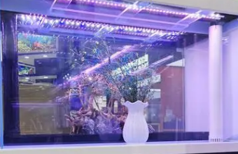 高端品牌色色视频入口的專業指南